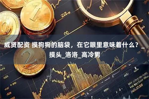 威贤配资 摸狗狗的脑袋，在它眼里意味着什么？_摸头_洛洛_高冷男